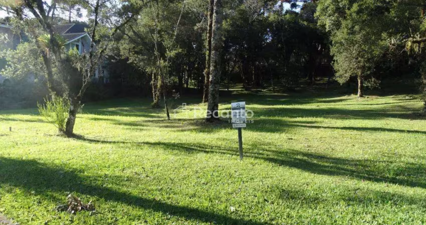 Terreno à venda, 739 m² altos pinheiros - canela/rs