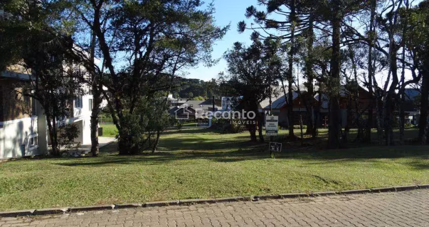 Terreno à venda, 795 m² por  - altos pinheiros - canela/rs