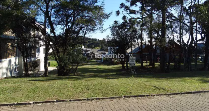 Terreno à venda, 795 m² por  - altos pinheiros - canela/rs