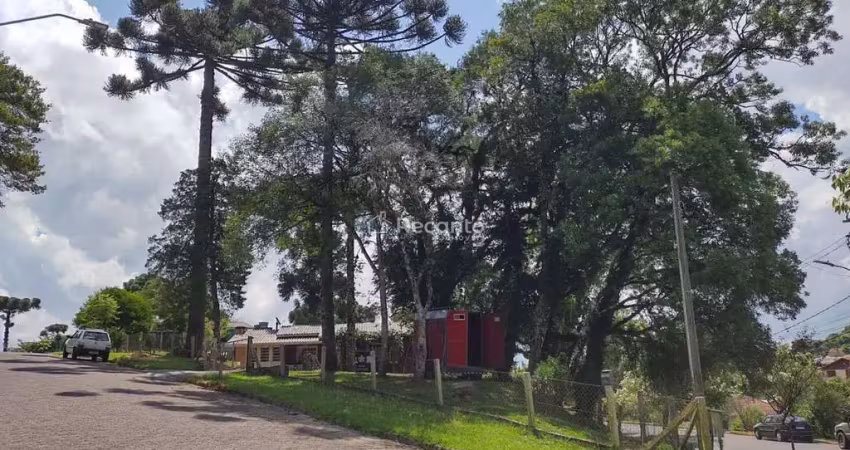 Terreno à venda na Asis Brasil, Maggi, Canela