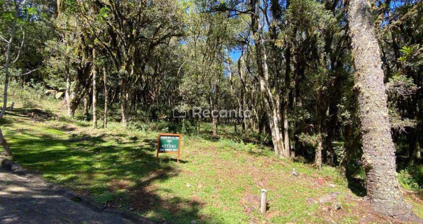 TERRENO COM 665,17 M² EM CONDOMÍNIO FECHADO , Pinheiro Grosso, Canela - RS