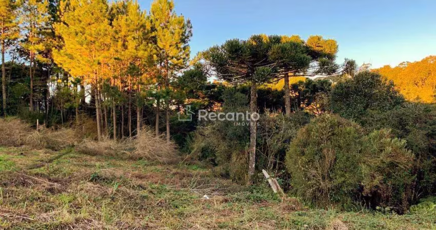 Terreno à venda na Rua São Francisco, São Bernardo, São Francisco de Paula