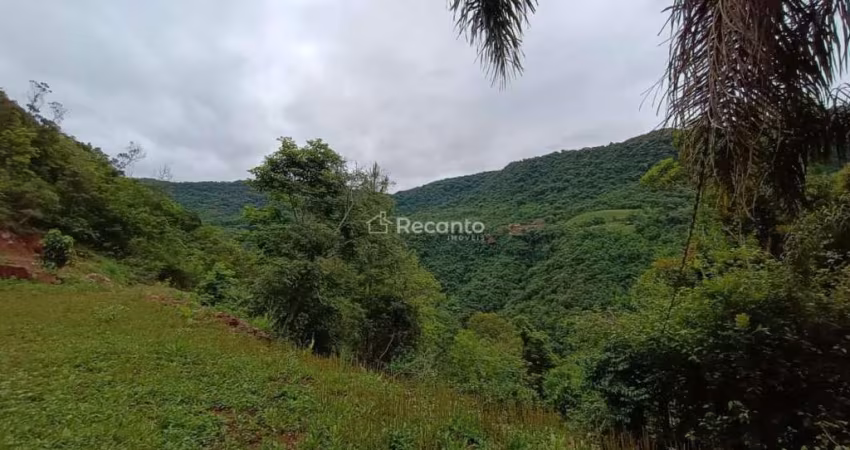 SÍTIO NO INTERIOR DE GRAMADO COM 30.200 M², Pedra Branca da Linha Furna, Gramado - RS