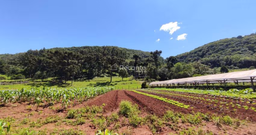 ÁREA DE 32000² A VENDA EM GRAMADO, LINHA AVILA!, Estrada Linha Avila, Gramado - RS