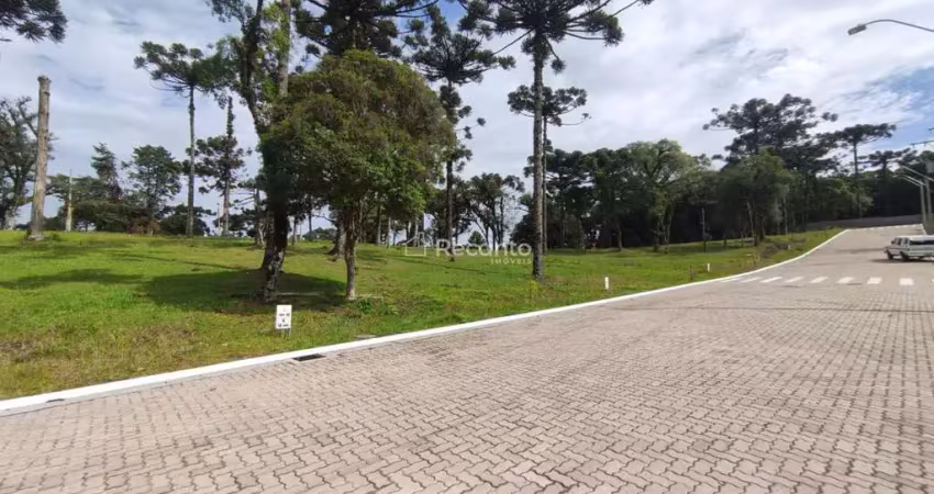 Terreno à venda na Avenida Cônego João Marchesi, X, Jardim Mariana, Canela