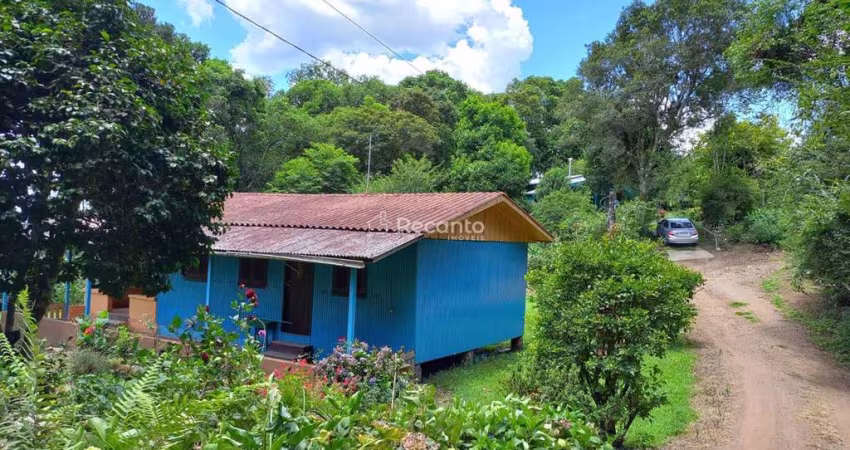 AREA A VENDA DE 4 HECTARES , Serra Grande, Tres Coroas - RS