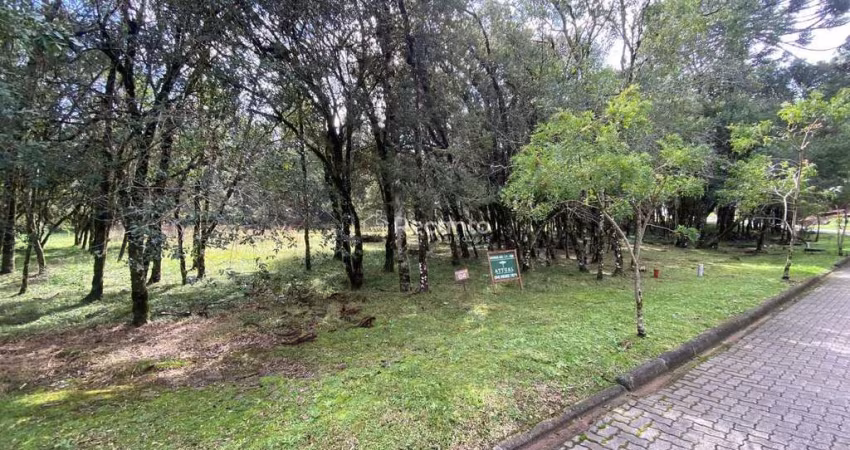 TERRENO COM 1.078,09M² A VENDA EM CANELA , Pinheiro Grosso, Canela - RS