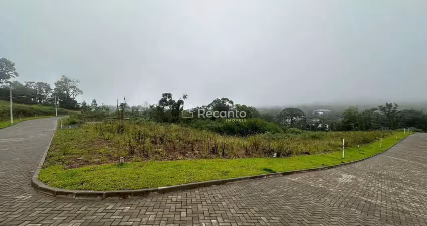 Terreno à venda na Avenida Trab., Várzea Grande, Gramado