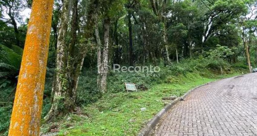 LOTE A VENDA EM CANELA , Pinheiro Grosso, Canela - RS