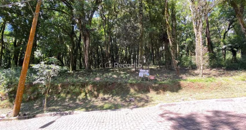 TERRENO COM  PROJETO APROVADO EM CANELA , Pinheiro Grosso, Canela - RS