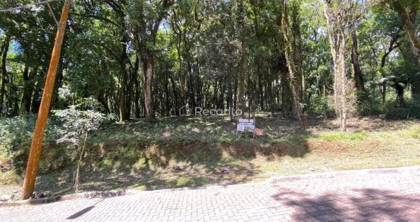 Terreno à venda na Rua José Pedro Piva, Parque Pinheiro Grosso, Canela