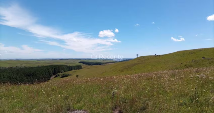 ÁREA A VENDA EM SÃO FRANCISCO DE PAULA , Sao Francisco de Paula - RS