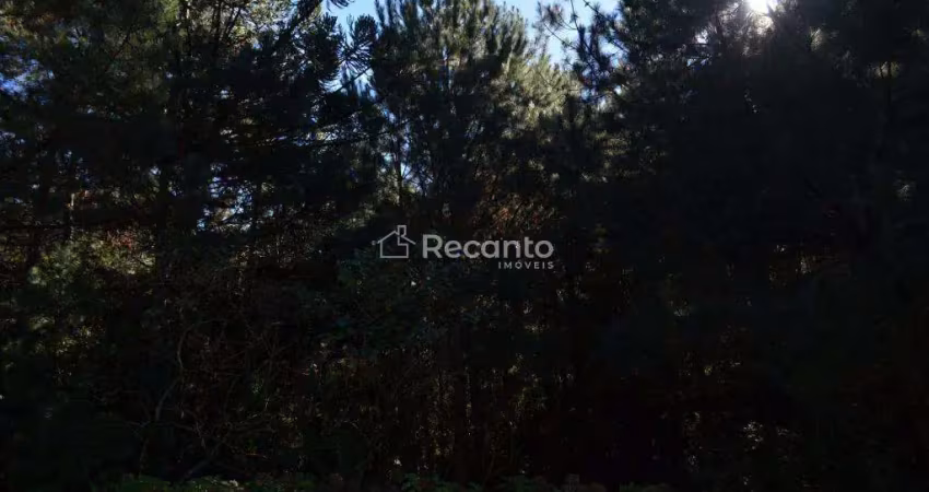 Área à venda, 80000 m² - mato queimado - gramado/rs
