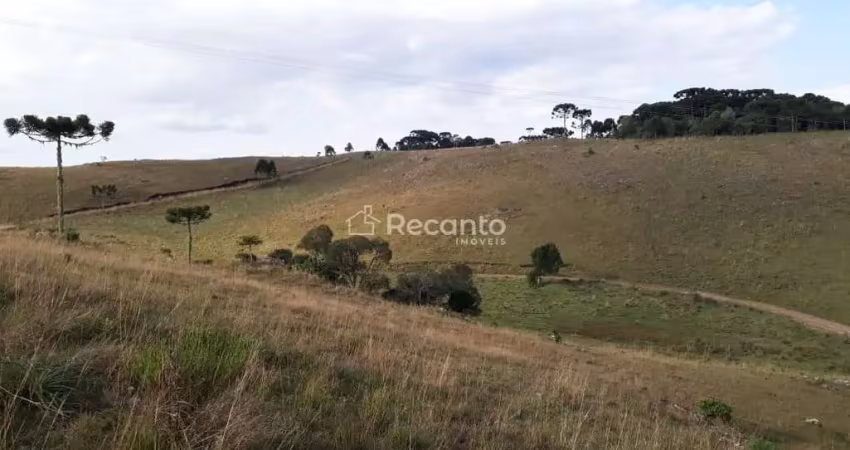 Apartamento à venda na Localizado a 11km do Lajeado Grande em São Francisco de Paula, Centro, São Francisco de Paula