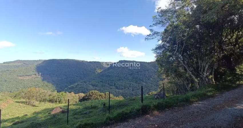 Fazenda à venda na Estrada do Caboclo, 00, Zona Rural, Gramado