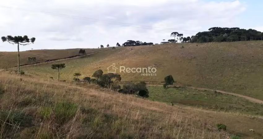 Fazenda à venda na Localizado a 11km do Lajeado Grande em São Francisco de Paula, Centro, São Francisco de Paula