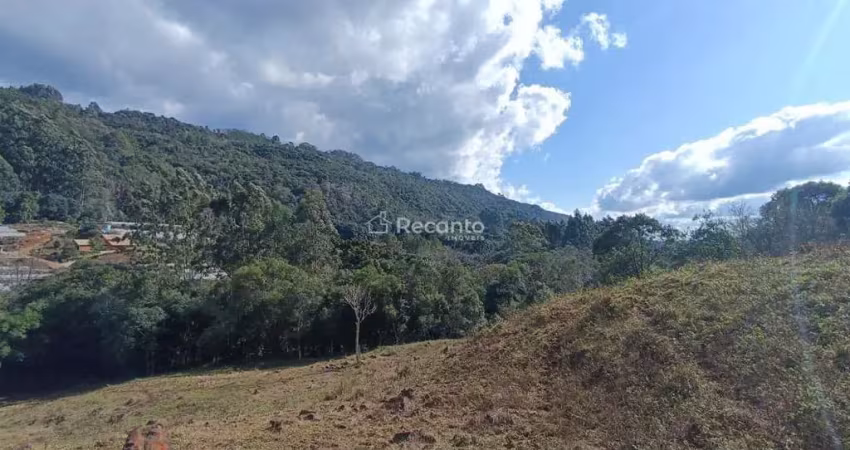 Fazenda à venda na LINHA AVILA BAIXA, Linha Ávila, Gramado