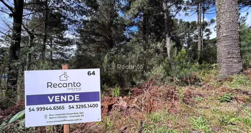 Apartamento à venda na Rua Vereador Theodoro Michaelsen, 1306, Moura, Gramado