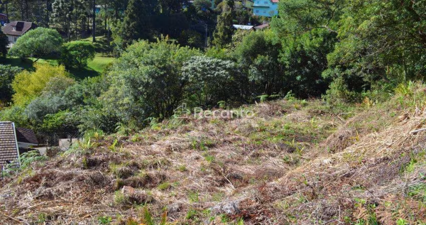 TERRENO À VENDA, 940 M²  PÓRTICO - GRAMADO/RS, Pórtico, Gramado - RS