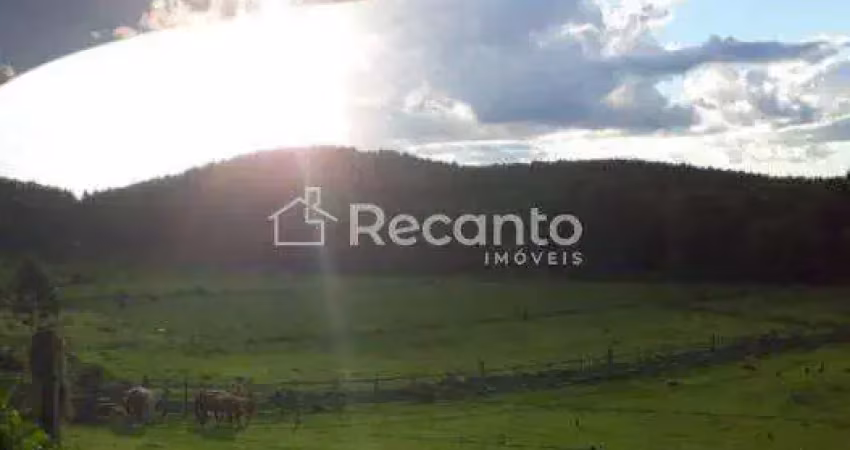 Chácara / sítio à venda na Estrada Geral, Caracol, Canela