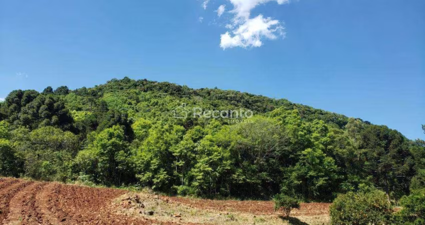 ÁREA À VENDA, 59000 M²  LINHA BONITA - GRAMADO/RS, Linha Bonita Alemã, Gramado - RS
