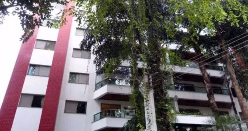 RUA TRANQUILA E ARBORIZADA