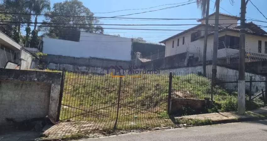 Terreno à venda na Rua Doutor Rui Tavares Monteiro, --, Jardim Leonor, São Paulo