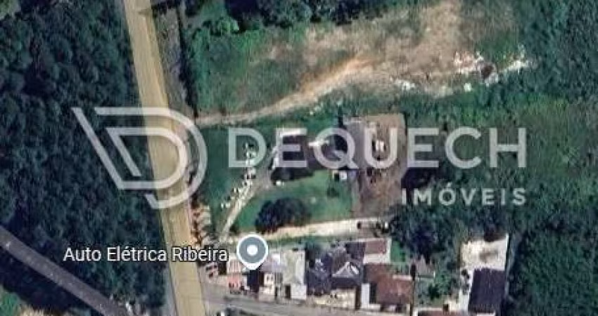 Terreno comercial à venda na Estrada da Ribeira BR-476, 387, São Dimas, Colombo