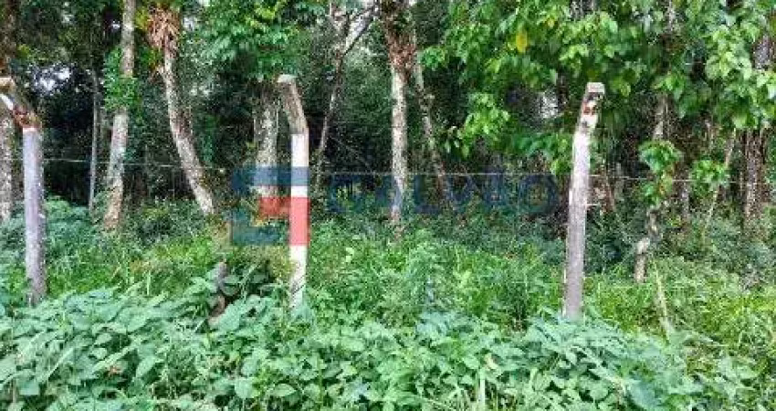 Terreno à venda na praia de boracéia em são sebastião - sp