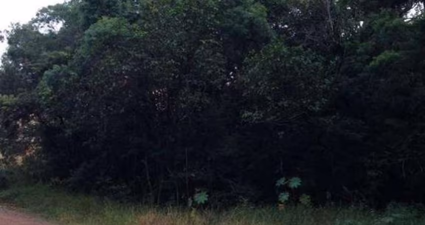 Terreno em Condomínio para Venda em Atibaia, Condomínio Bosque dos Eucalíptos