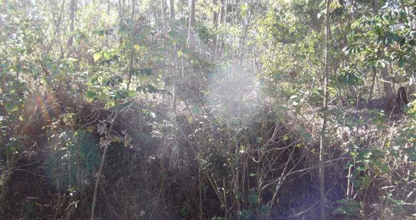 Terreno em Condomínio para Venda em Atibaia, Condomínio Bosque dos Eucalíptos