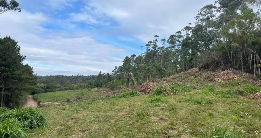 Terreno comercial à venda na Maria Isabel da Conceição, Morro da Borússia, Osório