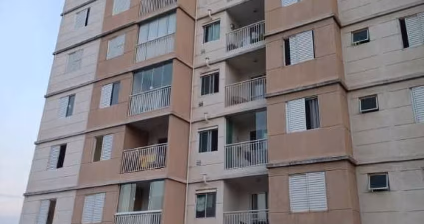 Apartamento Condomínio Nogueira, Campinas - SP