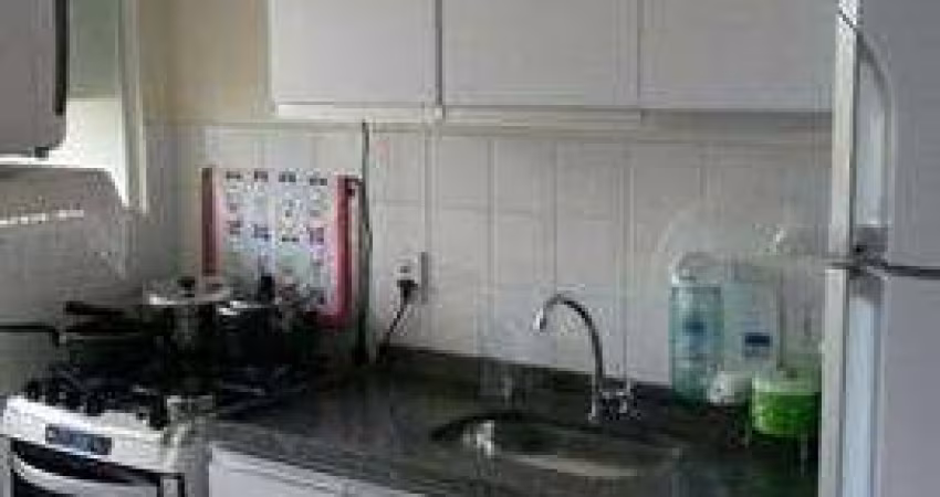 Apartamento Padrão para Venda em Jardim Monte Alto Campinas-SP