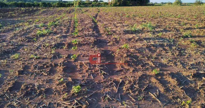 Terreno à venda, 5000 m² por r$ 500.000 - são joão da glória - mogi mirim/sp