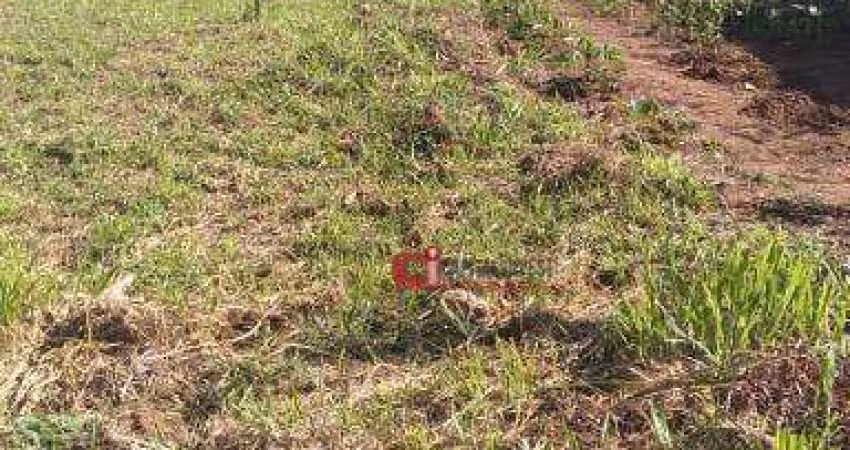 Terreno à venda, 439 m² por R$ 250.000,00 - Estância das Flores - Jaguariúna/SP