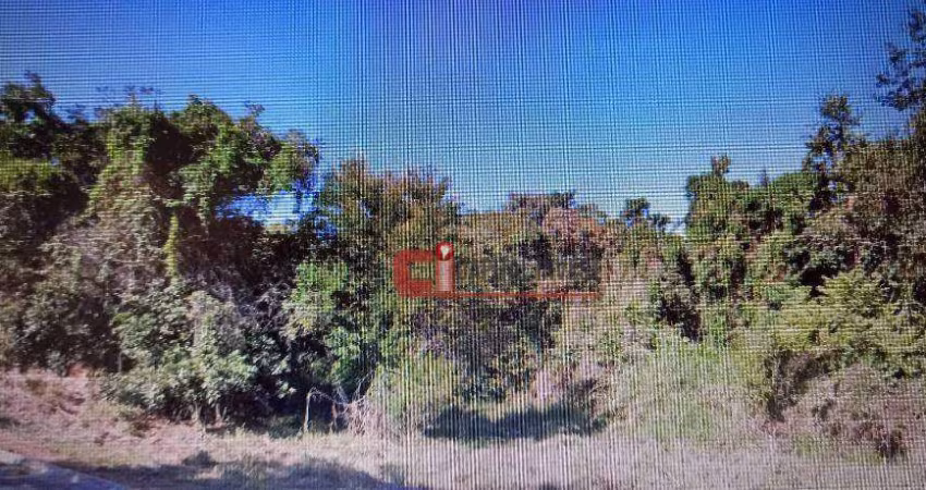 Terreno à venda, 2450 m² por R$ 480.000 - Capela Santo Antonio - Jaguariúna/SP