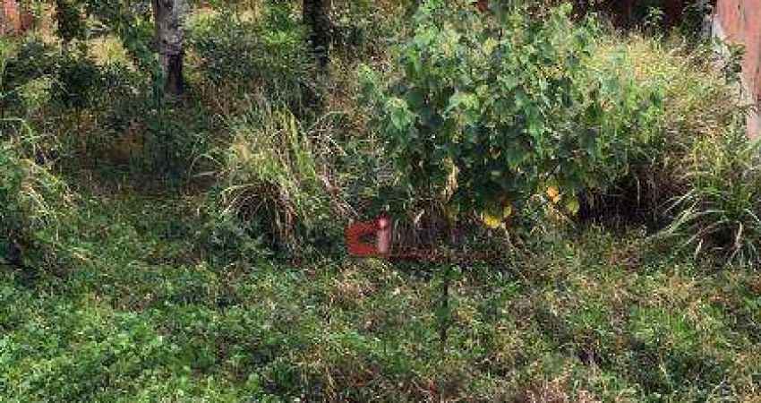 Terreno à venda, 300 m² por R$ 250.000 - Nova Jaguariúna - Jaguariúna/SP