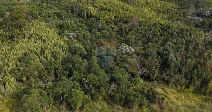 Terreno - área com 63,364m² no bairro ipelândia em suzano