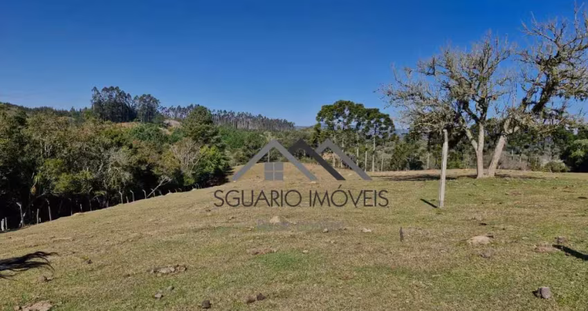 R$ 390 mil - terreno rural 20.000 m2, potencial plantio, pastagem ou painéis solares, mandirituba/pr.