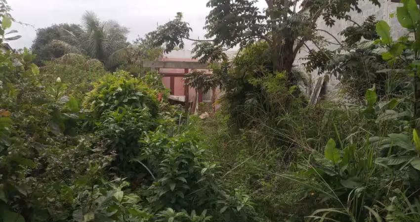 Excelente terreno comercial  na estrada da pedra, em frente ao colégio iepb