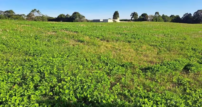 Terreno para venda em fazenda rio grande, eucaliptos