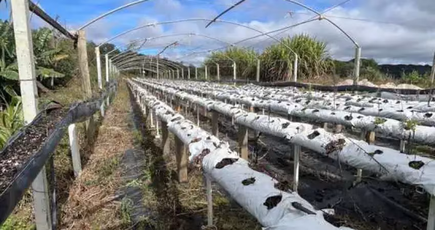 Chácara para venda em são josé dos pinhais, roseira de são sebastião, 1 dormitório, 1 banheiro
