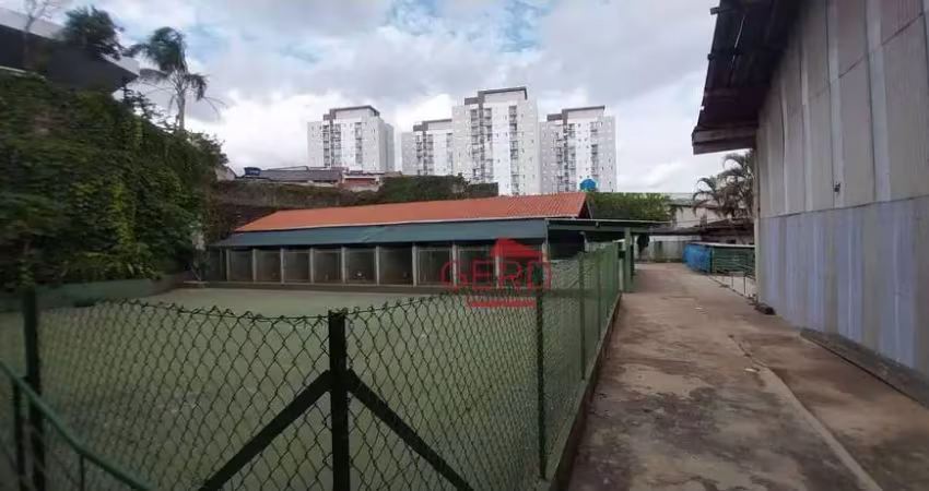 Terreno plano com acesso à castelo branco – ideal para logística ou investimento