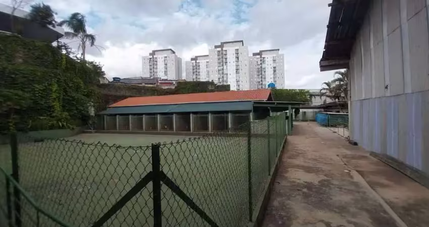 Terreno plano com acesso à castelo branco ? ideal para logística ou investimento