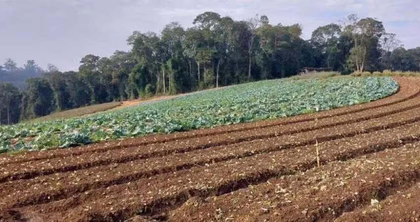 Terreno minha casa, minha vida à venda, jardim são marcos, itapevi - te0006.