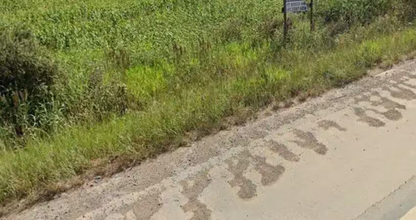 Terreno comercial à venda na Rodovia Ivo Silveira, 29, Lagoa, Gaspar
