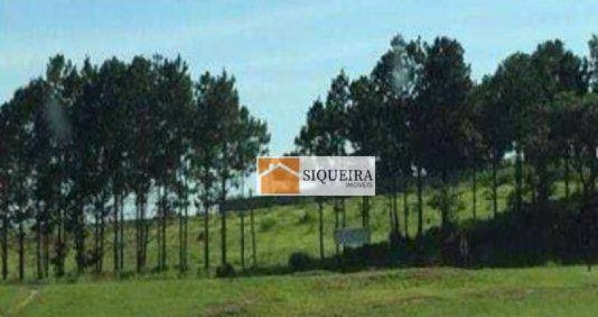 Área, 10900 m² - venda por R$ 7.314.000,00 ou aluguel por R$ 10.000,01/mês - Itavuvu - Sorocaba/SP
