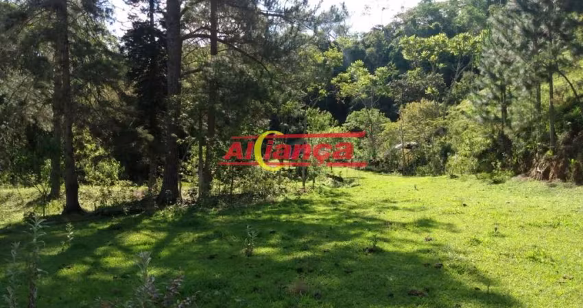 SITIO ESTRELA DE DAVI CAMPININHA ATIBAIA