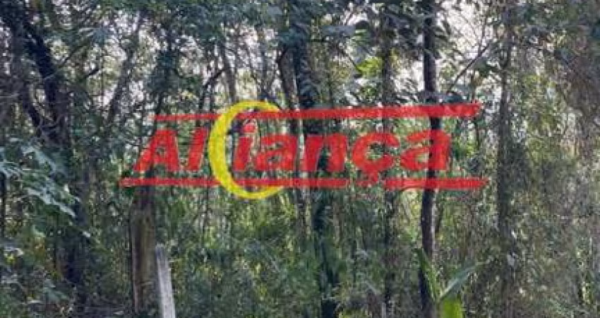 Terreno com 5860 m² à Venda - Chácara das Lavras - Capelinha - Guarulhos